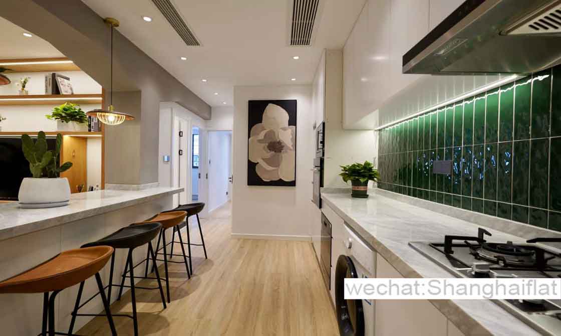 Newly renovated 2br flat on Wukang rd for rent/French Concession