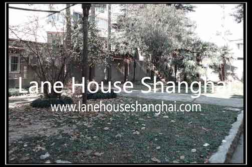 Taian rd lane house-garden
